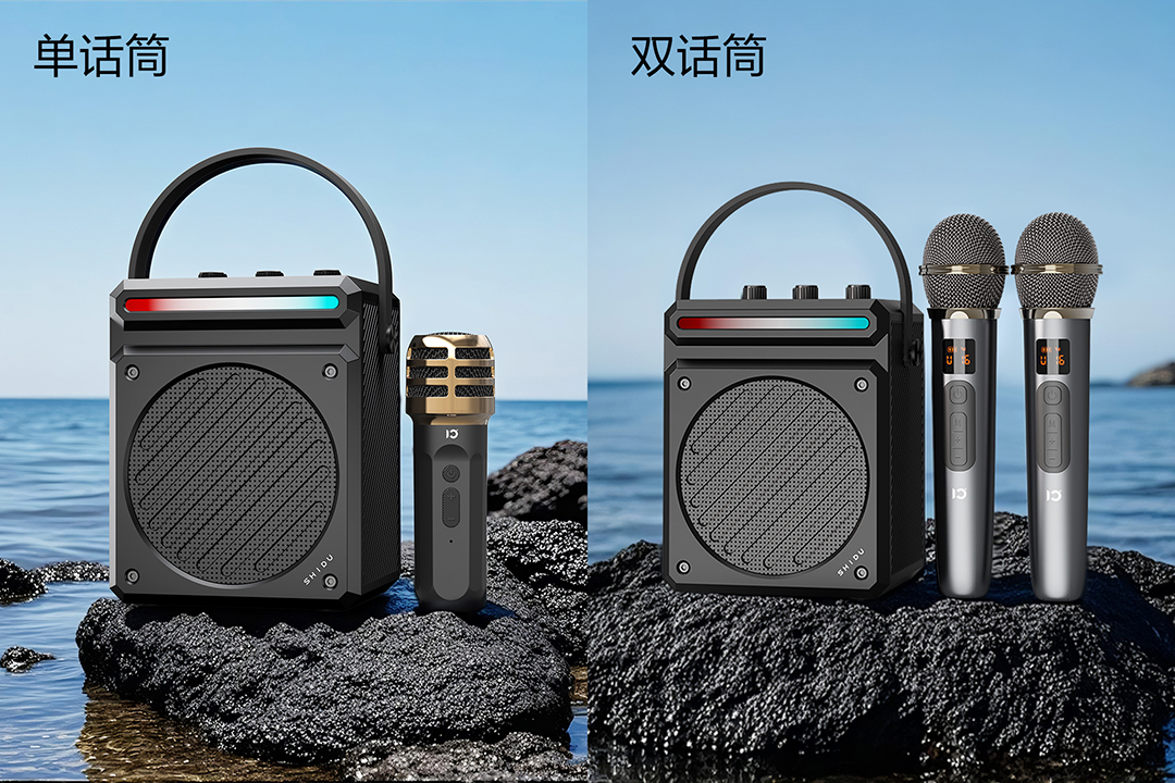 单话筒+双话筒展示.jpg
